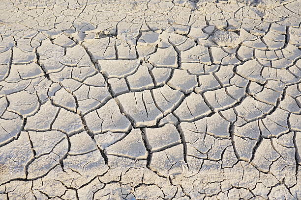 Dry cracked riverbed in Summer heat.