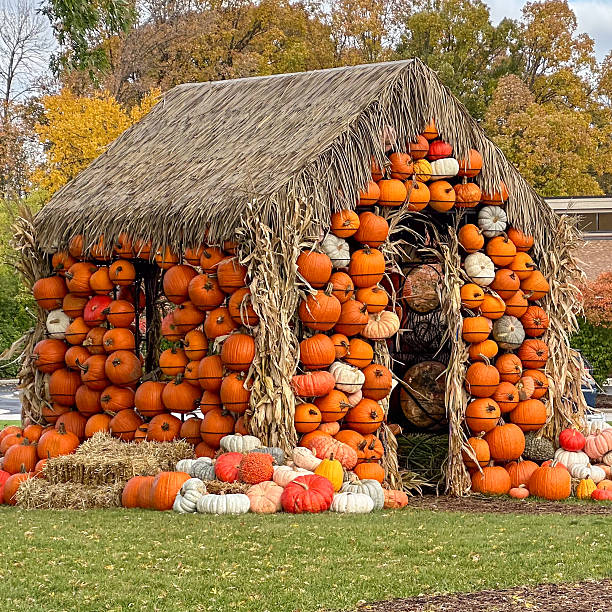 istock Autumn pumpkin hut display with hay and gourds at pumpkin patch 2238448091