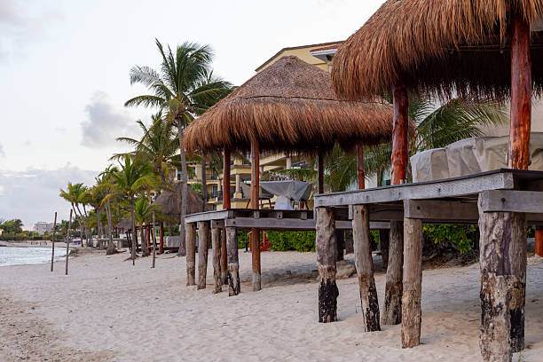 istock Beachside Thatched Huts on Wooden Stilts Over Sandy Beach With Palm Trees 2238450553