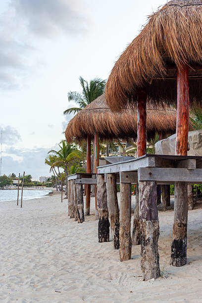 istock Beachside Thatched Huts on Wooden Stilts Over Sandy Beach With Palm Trees 2238450556