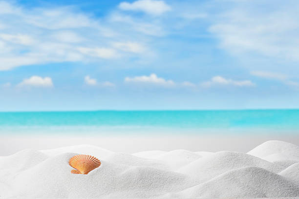 White Sandy Beach With Cloudy Blue Sky with Ocean View