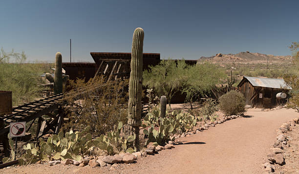 istock Pathway Through Goldfield Ghost Town with Desert Cacti 2238452890