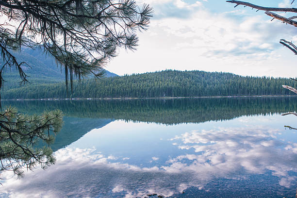 istock Holland Lake, Montana 2238453050