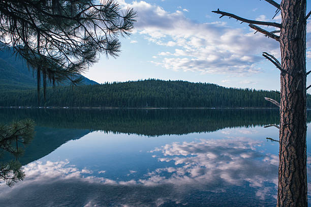 istock Holland Lake, Montana 2238453051