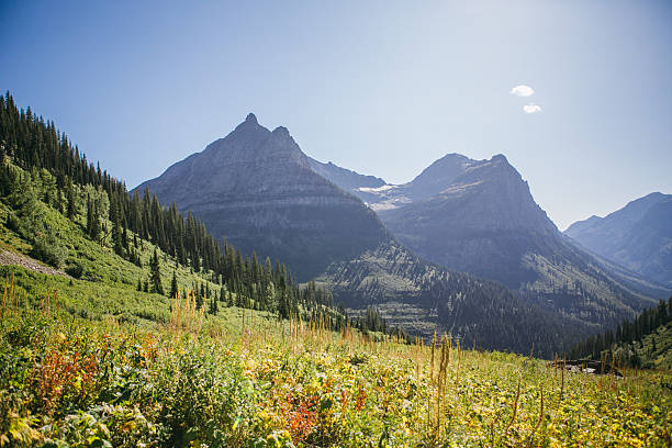 istock Glacier National Park Mountain scene 2238453117