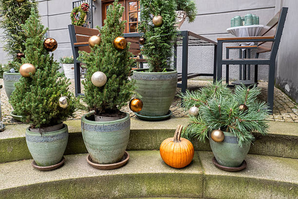Festive Decorations Blending Halloween and Christmas Themes