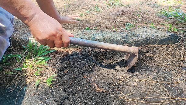 a man is hoeing the ground. a farmer is hoeing the ground using an iron hoe. man working in the garden