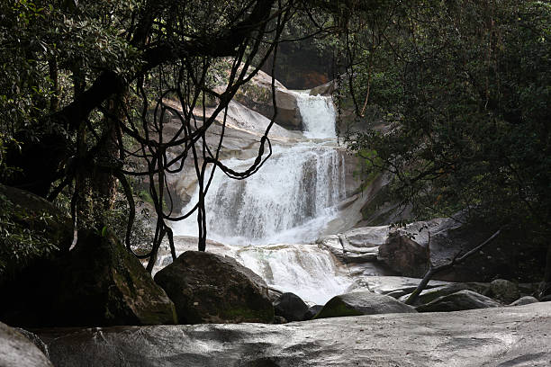 Josephine Falls waterfall flowing down smooth rocks surrounded by rainforest trees and vines in Queensland, Australia