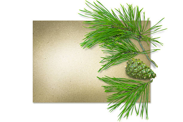 istock A Christmas ornament with pine branches and a pine cone on craft paper against. 2238463431