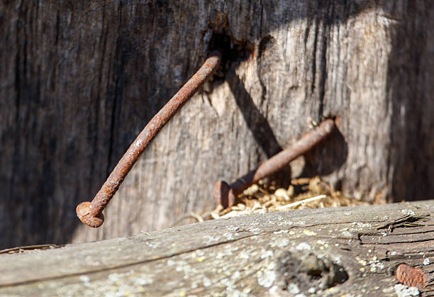Two rusty nails sticking out of a wooden board. The nails are bent and have rust on them