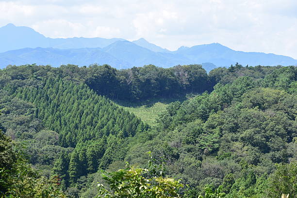istock The scenery of mountains 2238478325