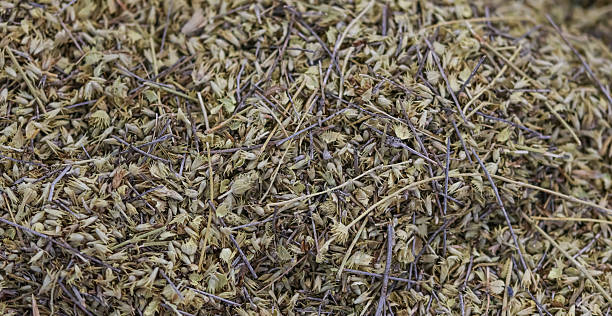 istock Medicinal herbs. Alternative medicine. Infusion. 2238480157