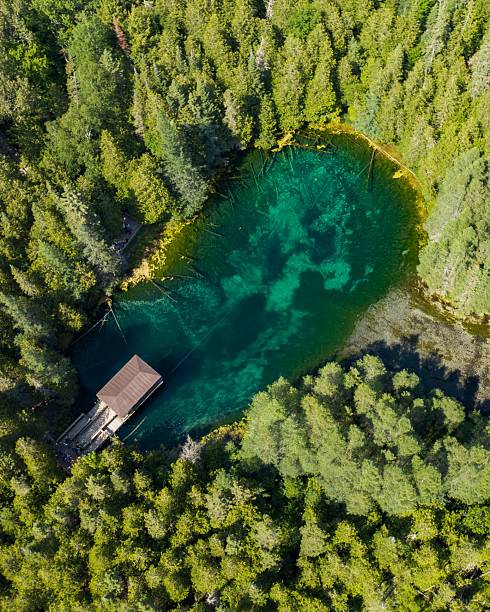 istock Kitch-iti-kipi Spring Aerial Drone Shot Surrounded by Forest 2238480384