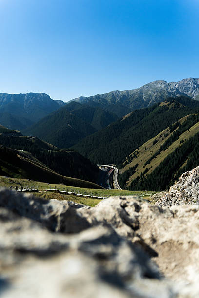 Grasslands, mountains, pine forests and the azure sky