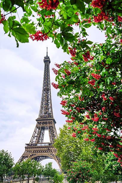 Iconic Eiffel Tower framed by vibrant greenery and bright blossoms in Paris, capturing romance, travel, and urban beauty against a soft sky.