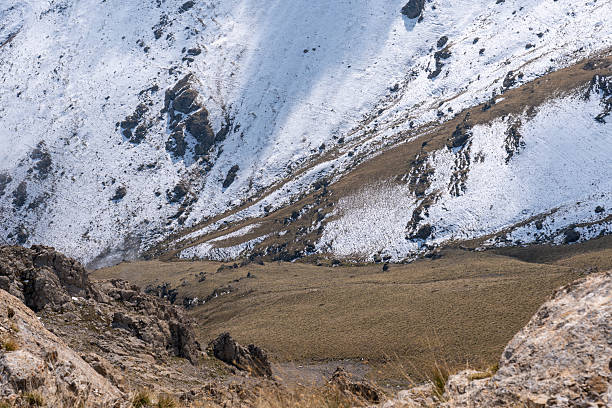 Dry grass and snow blending on rugged mountain hillside
