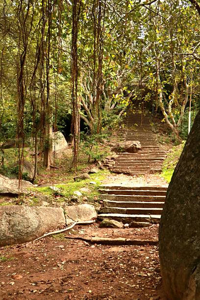 istock stairs in rainforest in Mihintale - Sri Lanka 2238487918