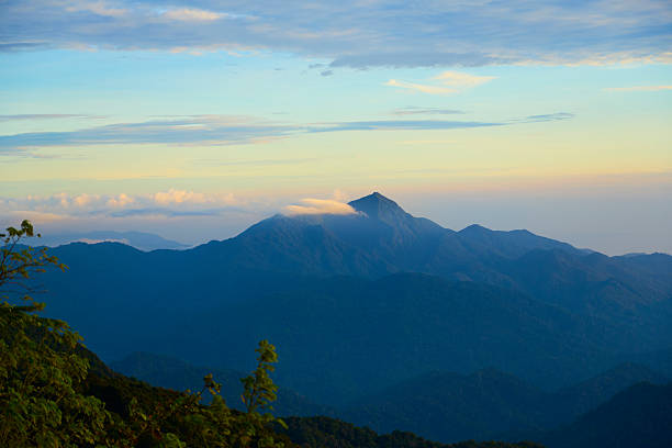 Layered mountain range with a cloud cap at dawn, showing forest and sky
