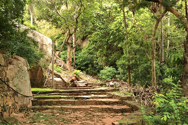 istock Sri Lanka Mihintale in tropical rainforest 2238503475