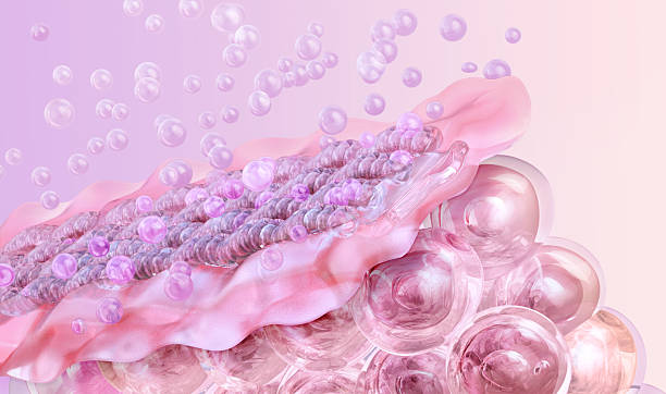 istock Hyaluronic acid, collagen serum, water molecules interacting with the skin surface. 2238506871