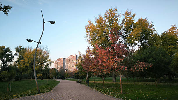 istock autumn in the Novi Sad 2238508169