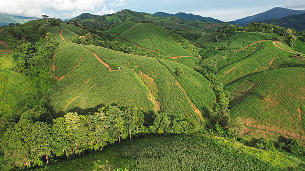 istock Aerial view of the greenery mountains by drone 2238513047
