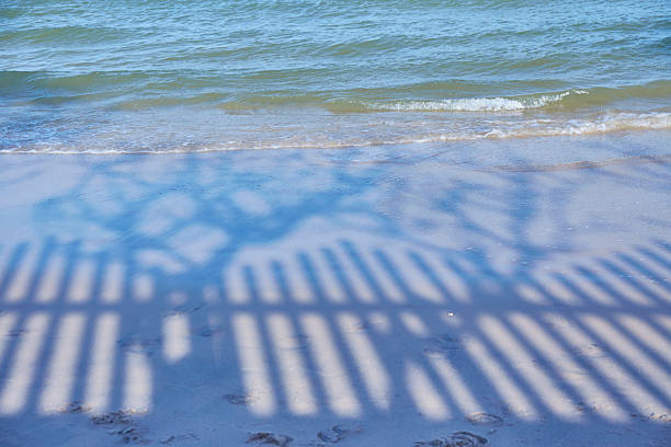The shadow of tree and fence on the beach background