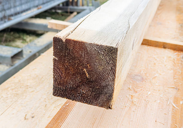 Photo showing a well-stocked timber yard / lumber yard with tall piles of freshly cut wooden planks and wood beams, pictured from the front, showing the neat rows of cut edges.  These lengths of timber have been freshly sawn at a nearby sawmill and are stacked on wooden pallets.