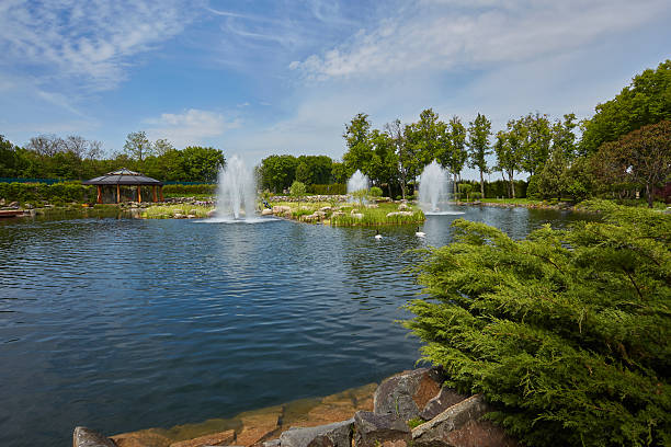 istock Shaved decorative bushes in a city park. 2238529983