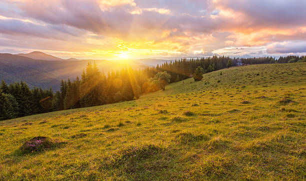 istock Mountain valley during sunrise. Natural landscape 2238530102