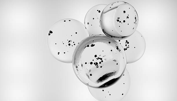 istock Abstract black and white image featuring transparent bubbles with black speckles, creating modern and minimalist design. bubbles appear to float against soft gradient background 2238531036