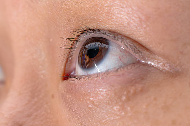 istock Close up of human brown eye looking up 2238535702