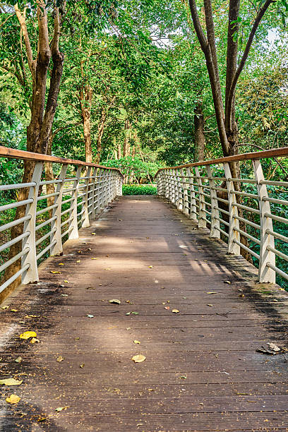 istock Wooden bridge in the park 2238536332