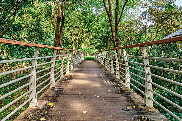 Wooden bridge in the park