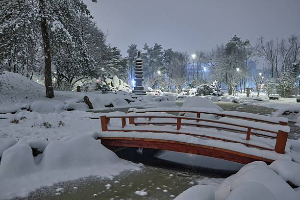 Winter alley in park and shining lanterns. Night shot.