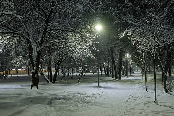 istock View of bench against christmas tree and shining lantern through snowing. 2238538384