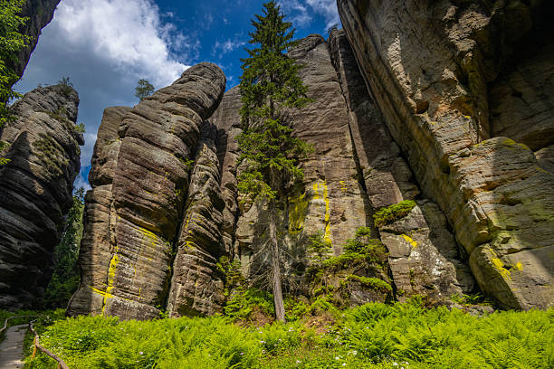 istock Adrspach-Teplice Rocks natural rock formation 2238538678