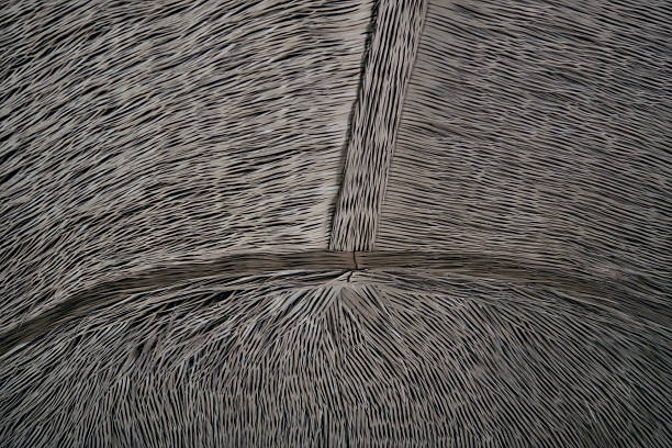 Straw texture background. Close up.