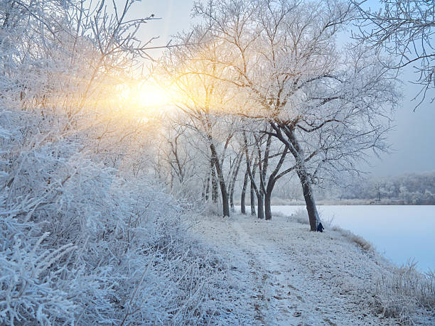 istock Beautiful winter park with sunset colors sky 2238543577