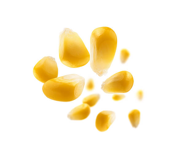 istock Ripe corn grains levitate on a white background 2238544857