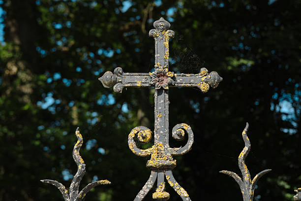 Wrought-iron fencing painted black with the decorations. The background is blurred. Shallow depth of field.