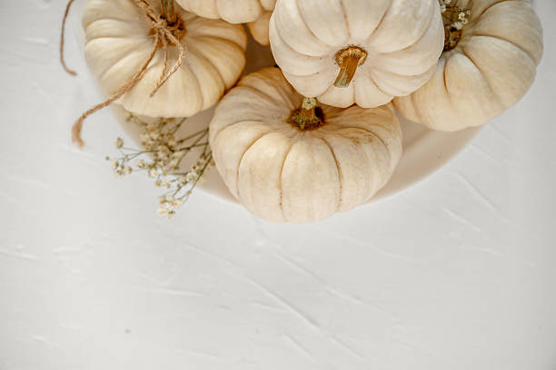 istock White mini Baby Boo pumpkins decorating autumn thanksgiving table 2238547988