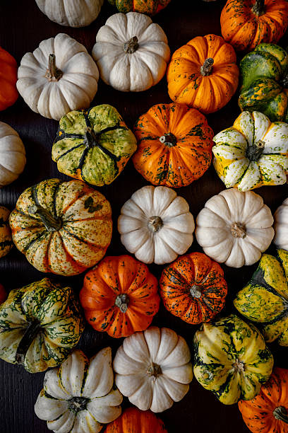 istock Assorted mini Baby Boo pumpkins and gourds creating autumn flatlay background 2238548232