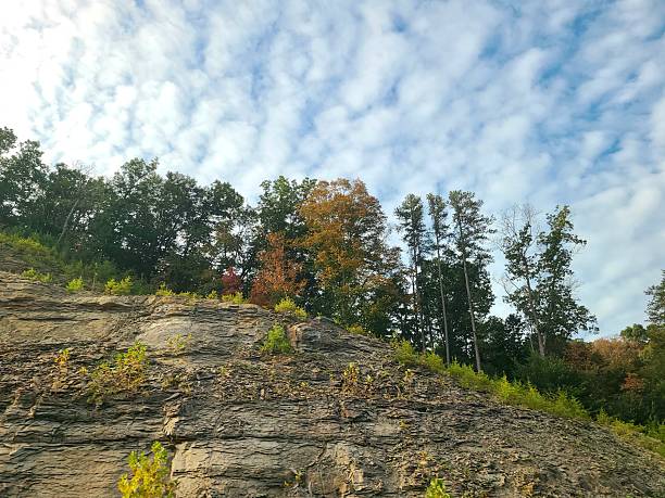 Layers of rocks beside an interstate highway forming a hill with scattered weeds and topped with trees, all underneath a cloudy sky.