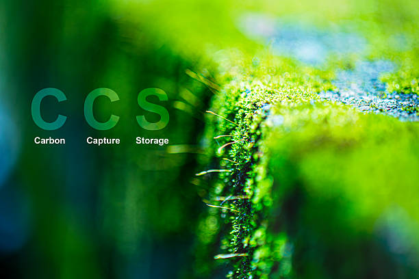 CCS stands for Carbon Capture and Storage. It is a technology used to reduce the amount of carbon dioxide CO2 released into the atmosphere by capturing the CO2 at sources such as industrial plants.