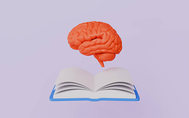 istock Innovative and creative icon, Spark creative ideas, textbook with brain 3d illustration 2238550339