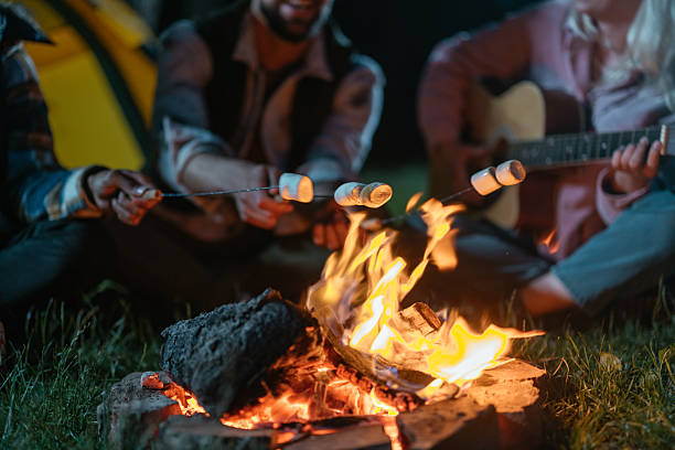 istock Marshmallows being roasted by friends over a campfire 2238550714