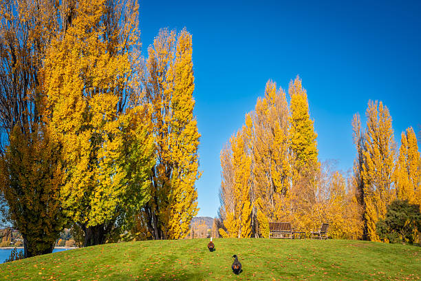 istock wanaka lake autumn 2238551651