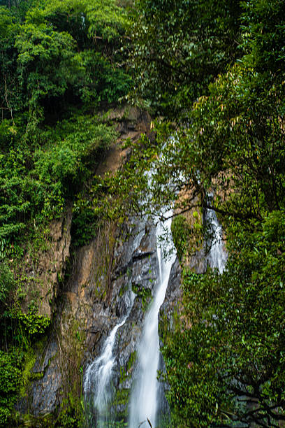 istock Waterfall in green tropical deep forest rainy season 2238551972