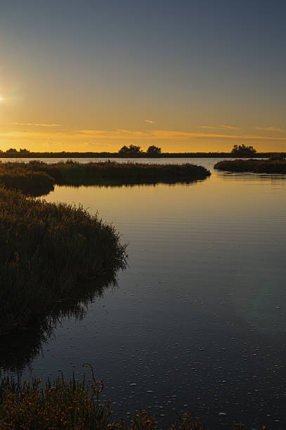 istock sunset over the lagoon, Po river delta, Comacchio, Ferrara, Italy 2238553992